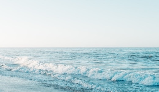 2025年12月予定表