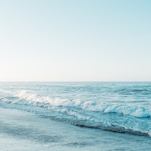 2025年11月の行事